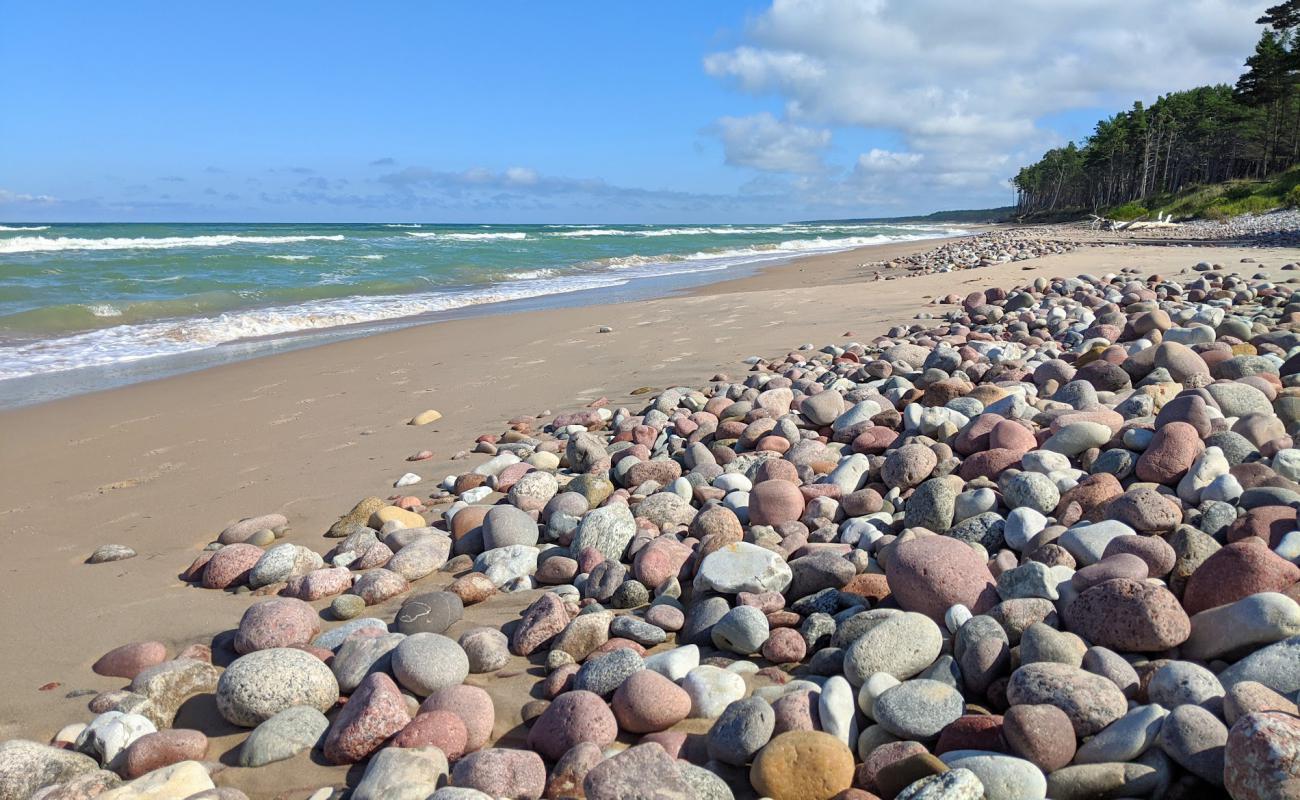 Фото Vejciems beach с светлый песок поверхностью