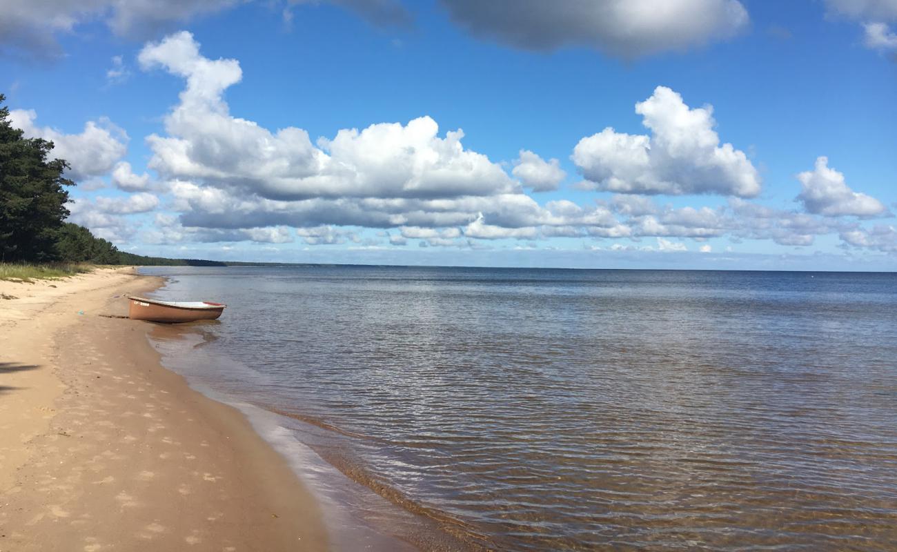 Фото Balta kapa beach с светлый песок поверхностью