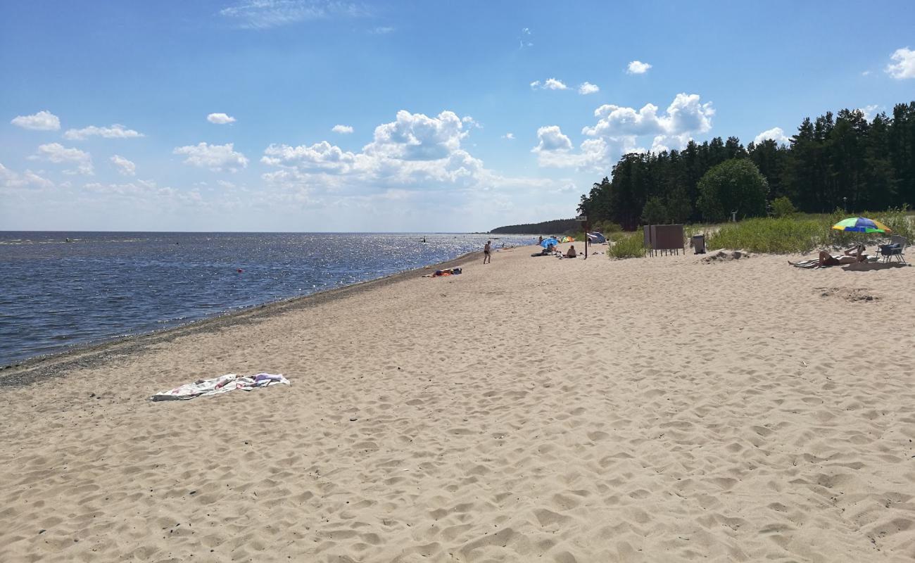 Фото Abragciems beach с светлый песок поверхностью