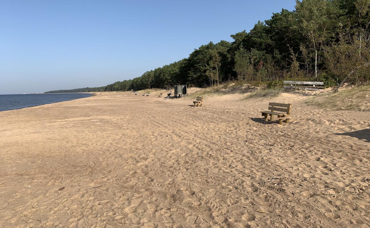 Фото Saulkrasti beach с светлый песок поверхностью