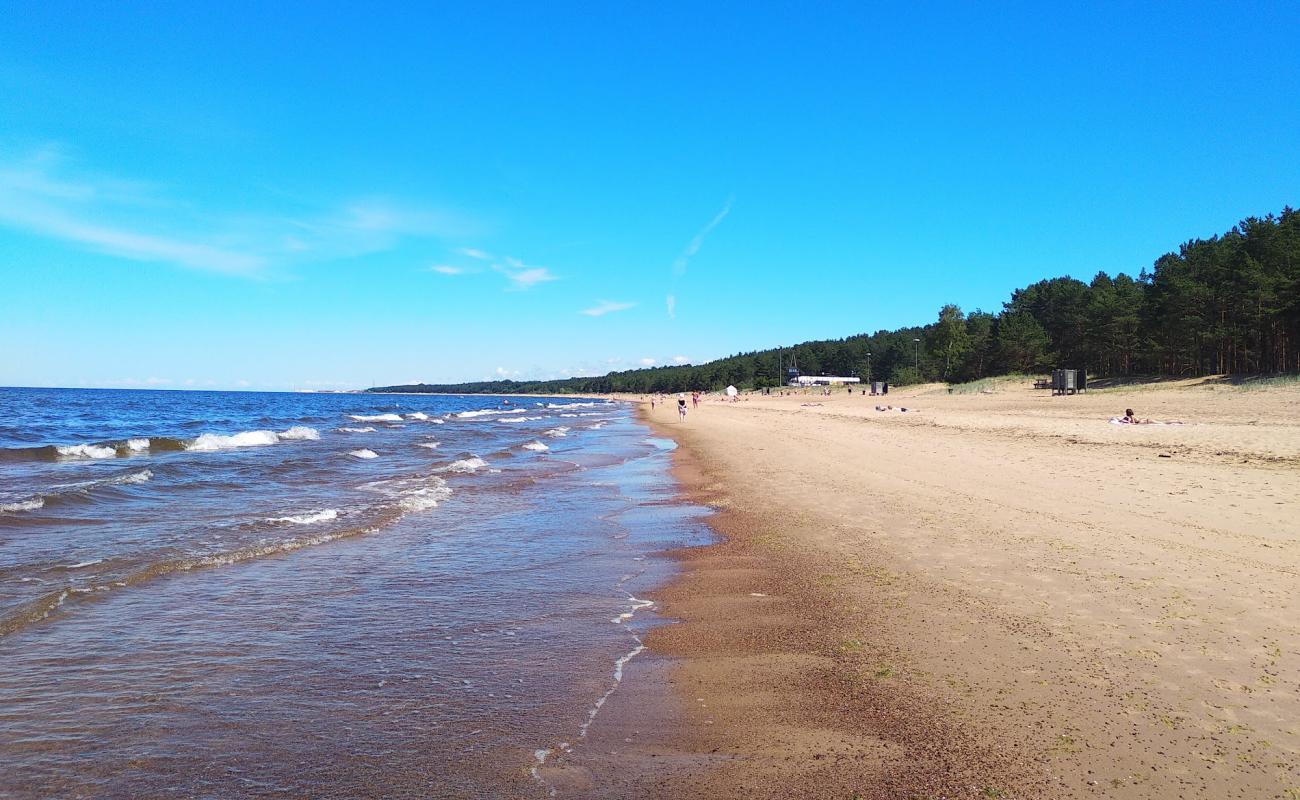 Фото Saulkrasti beach II с светлый песок поверхностью