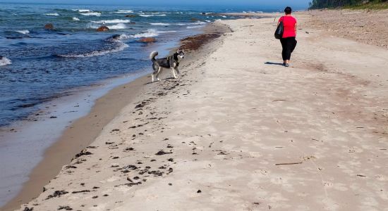 Joldija Beach