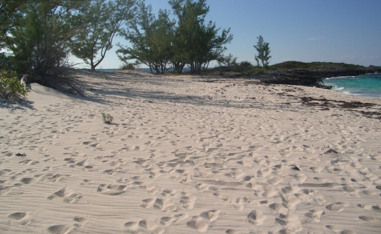 Фото Rose Island beach с песок с камнями поверхностью