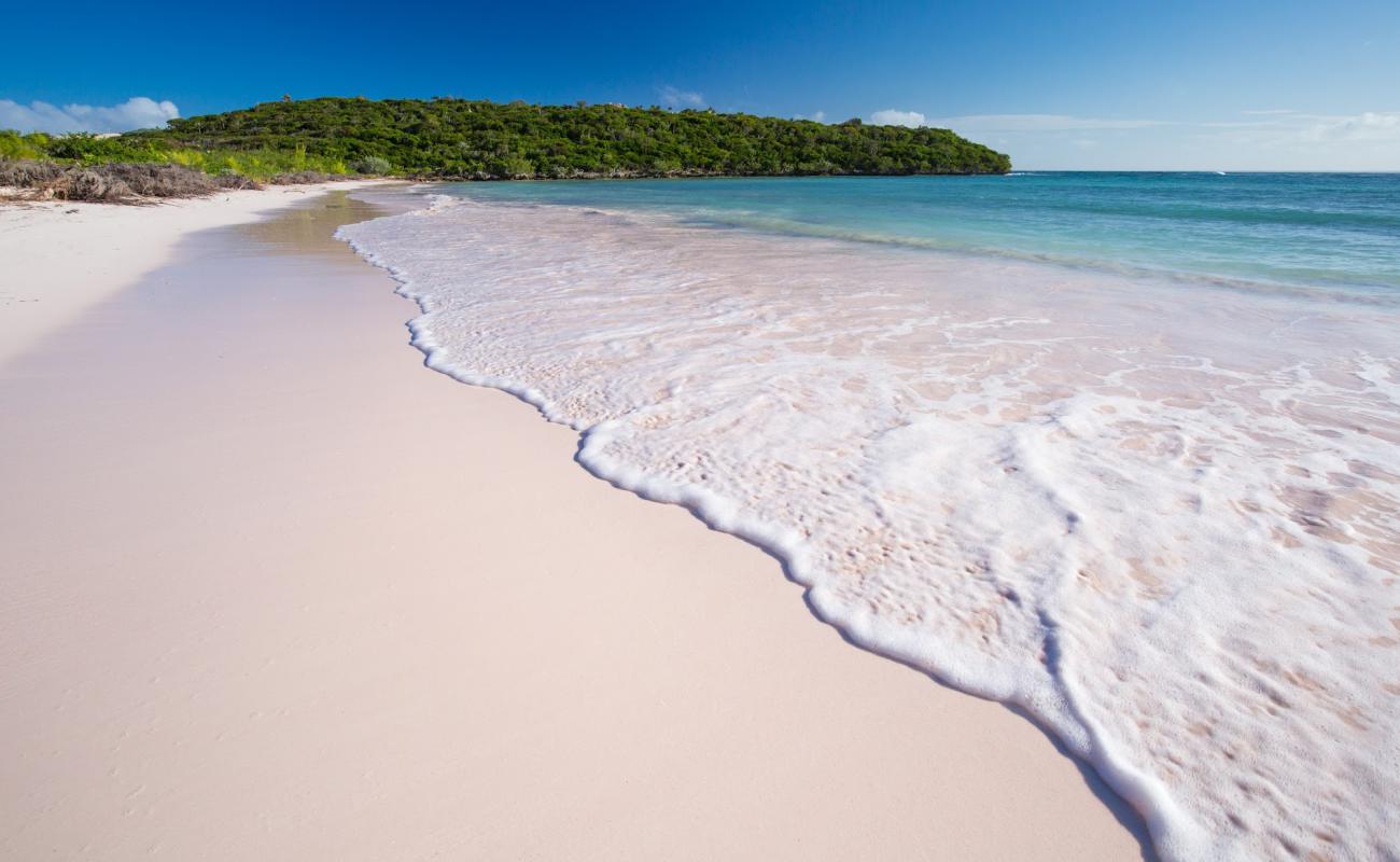 Фото Cotton Bay beach с золотистый песок поверхностью