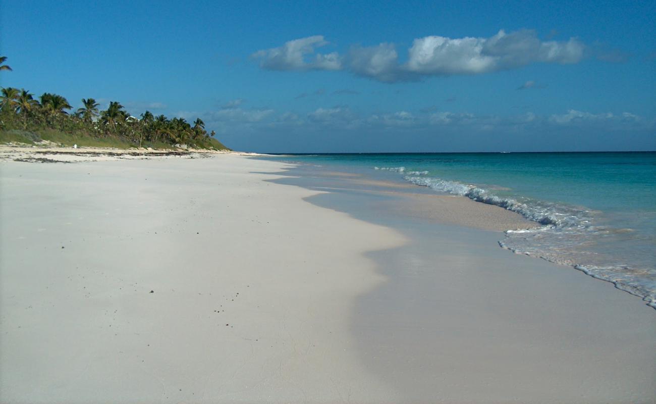 Фото Double Bay beach с золотистый песок поверхностью