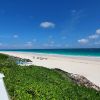 Pink sands beach