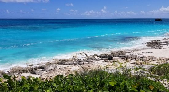 Exuma Palms beach