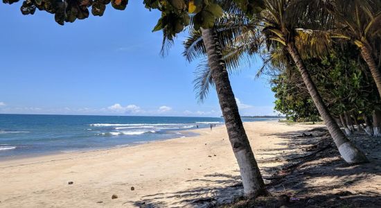 Plage Ampandrozonana