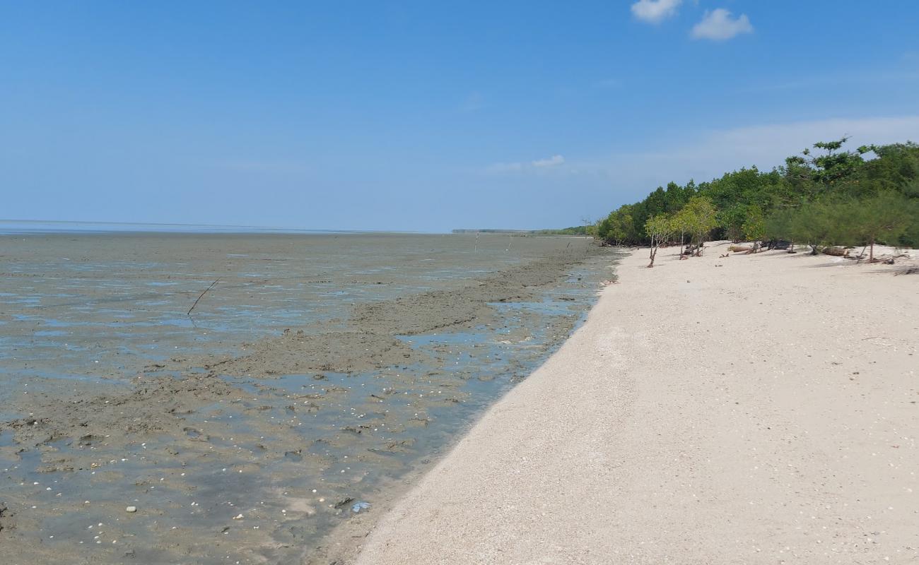 Фото Sungai Kajang Beach с золотой ракушечник поверхностью