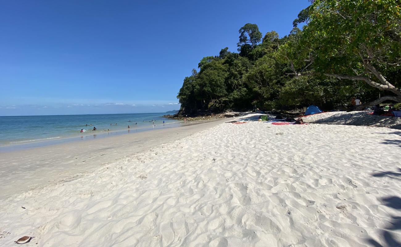 Фото Sandy Skulls Beach с золотистый песок поверхностью