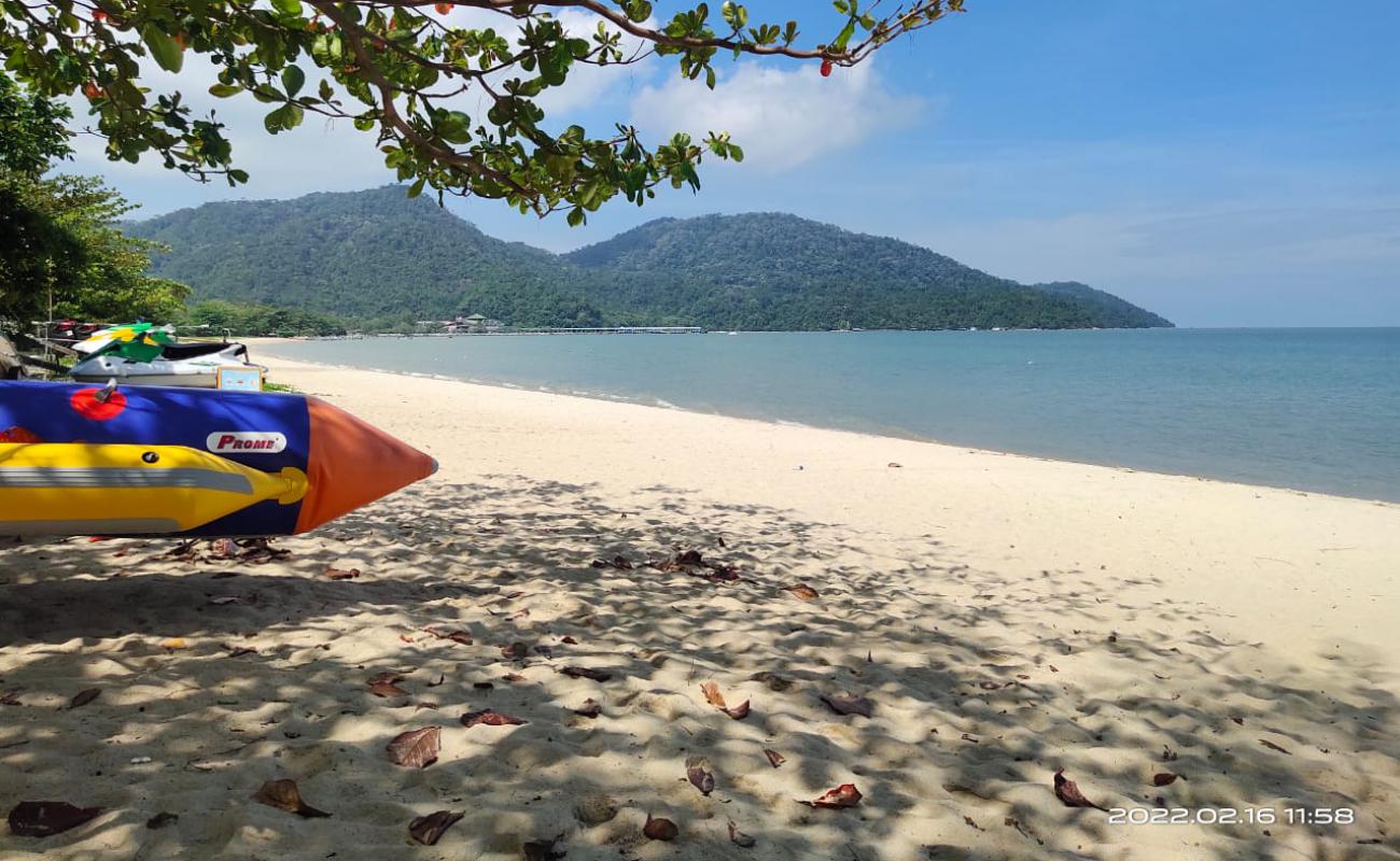 Фото Teluk Bahang Beach с светлый песок поверхностью