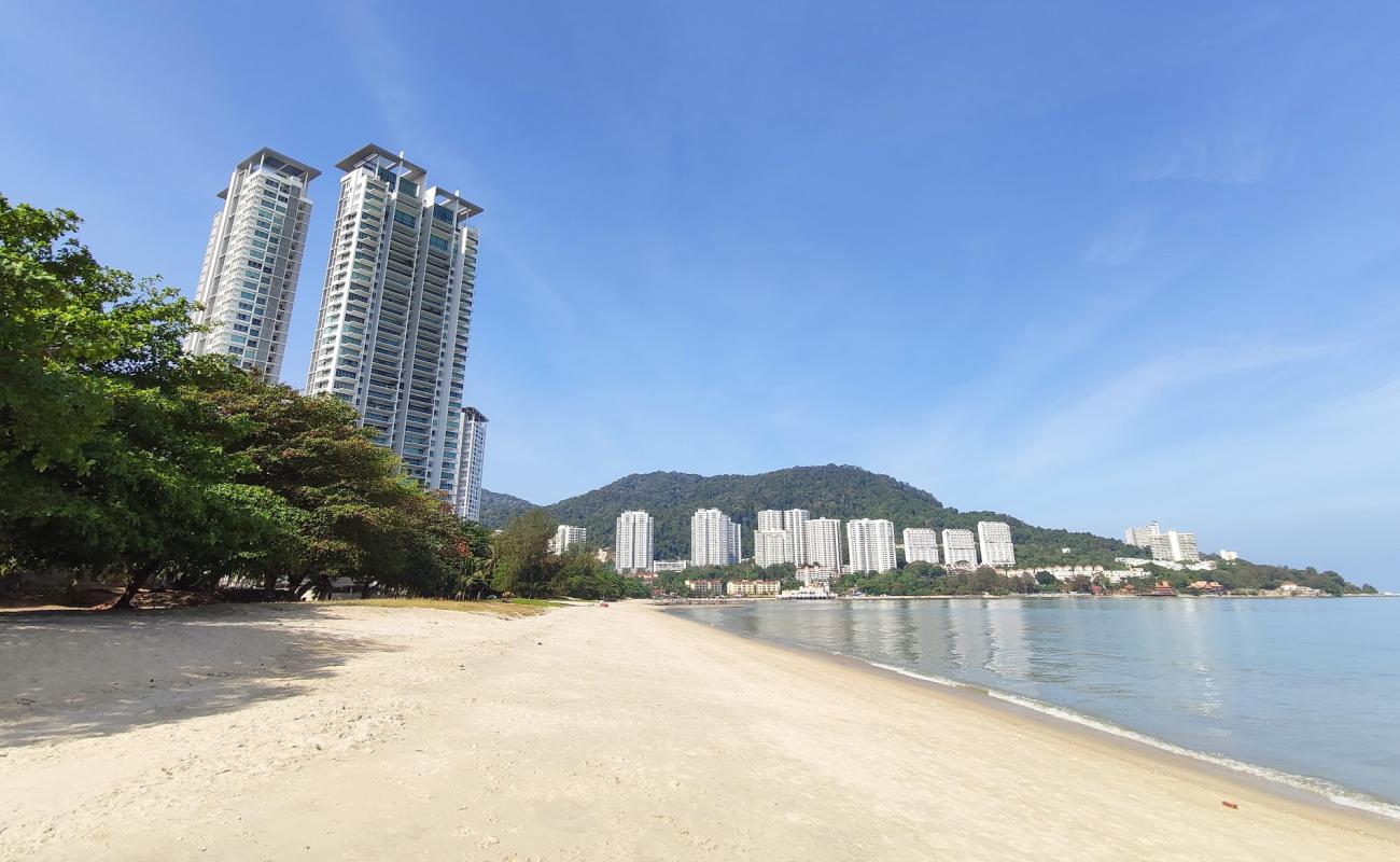 Фото Tanjung Bungah Beach с светлый песок поверхностью