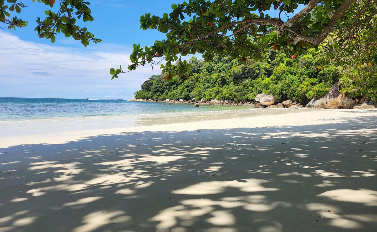 Фото Teluk Segadas Beach с светлый песок поверхностью