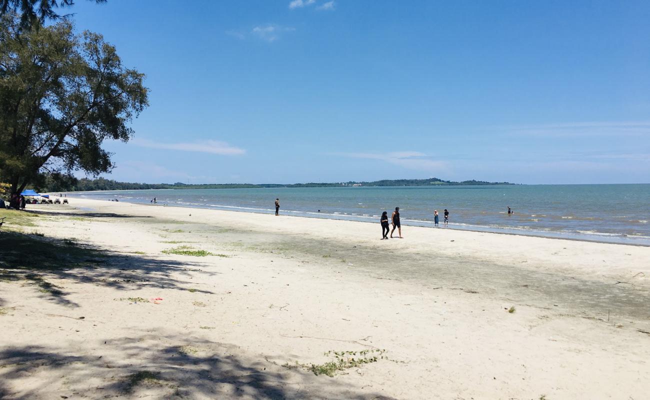 Фото Jason Bay Beach с серый песок поверхностью