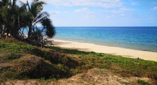 Rantau Abang Beach