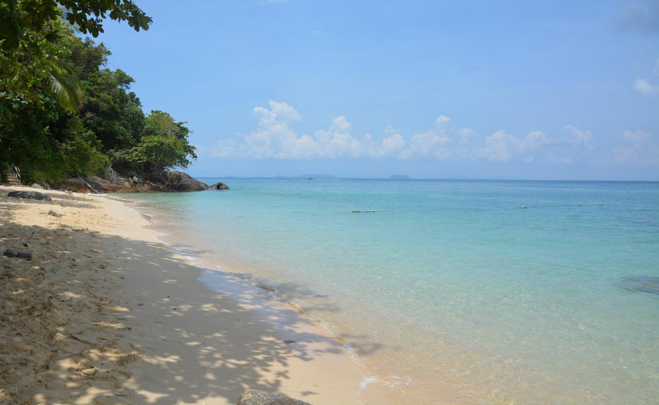 Фото Rainforest Beach с светлый песок поверхностью