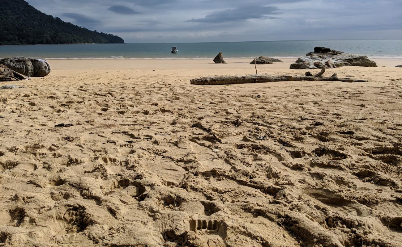 Фото Telok Pasir Beach с светлый песок поверхностью