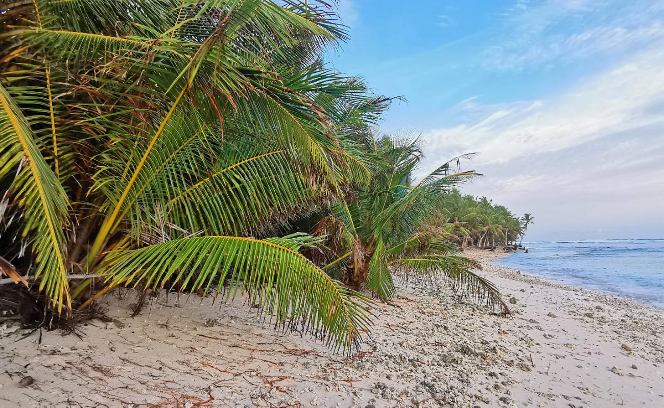 Фото Nadallaa Beach с светлый песок поверхностью