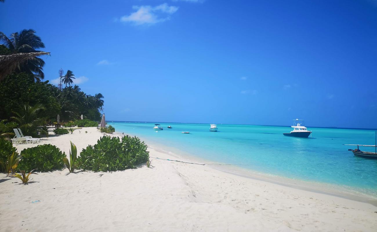 Фото Fulidhoo Beach с белый чистый песок поверхностью