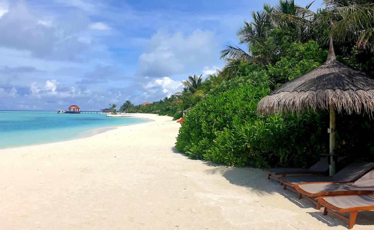 Фото Maadhoo Beach с белый чистый песок поверхностью