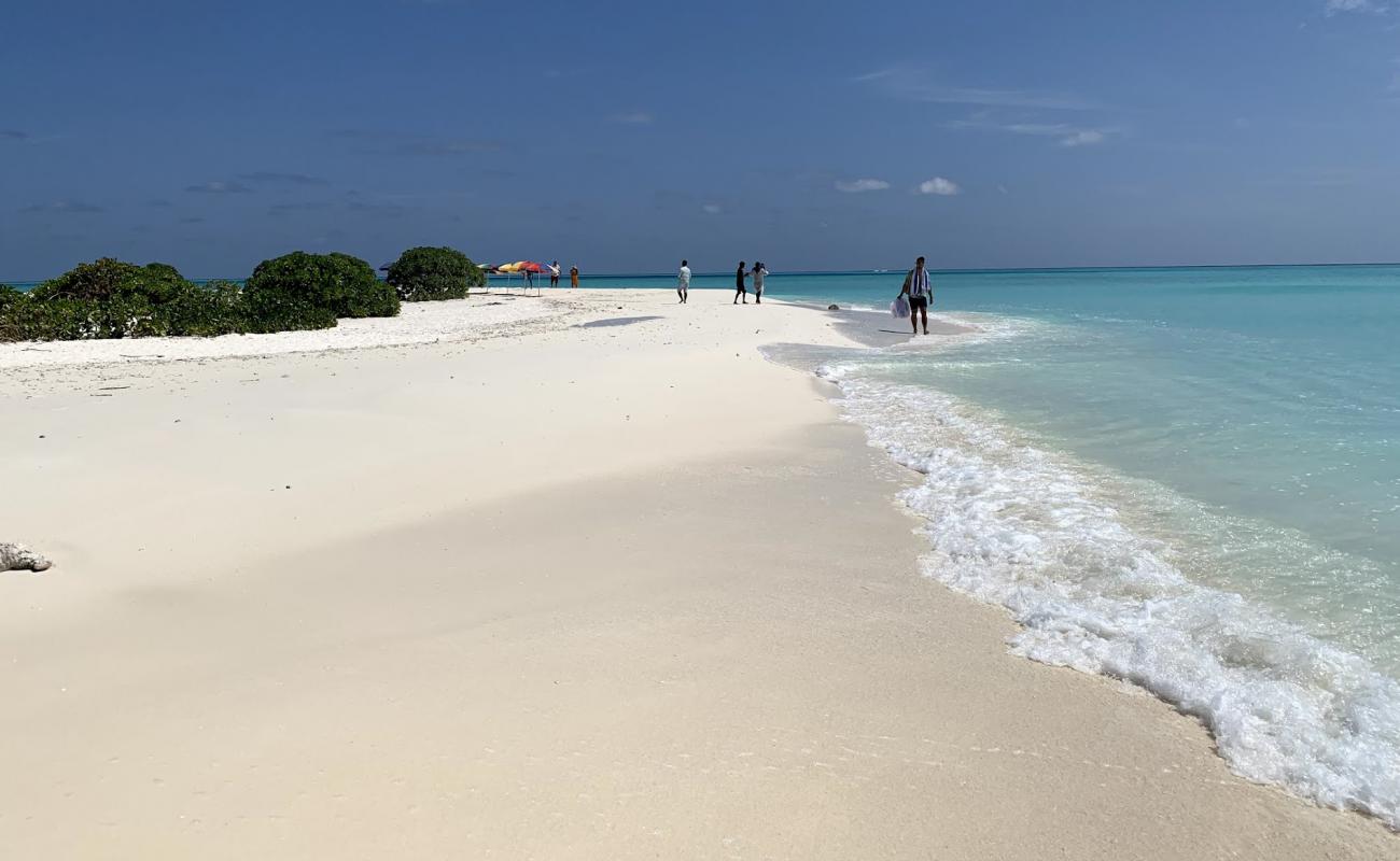 Фото Sand bank Maafushi с белый чистый песок поверхностью