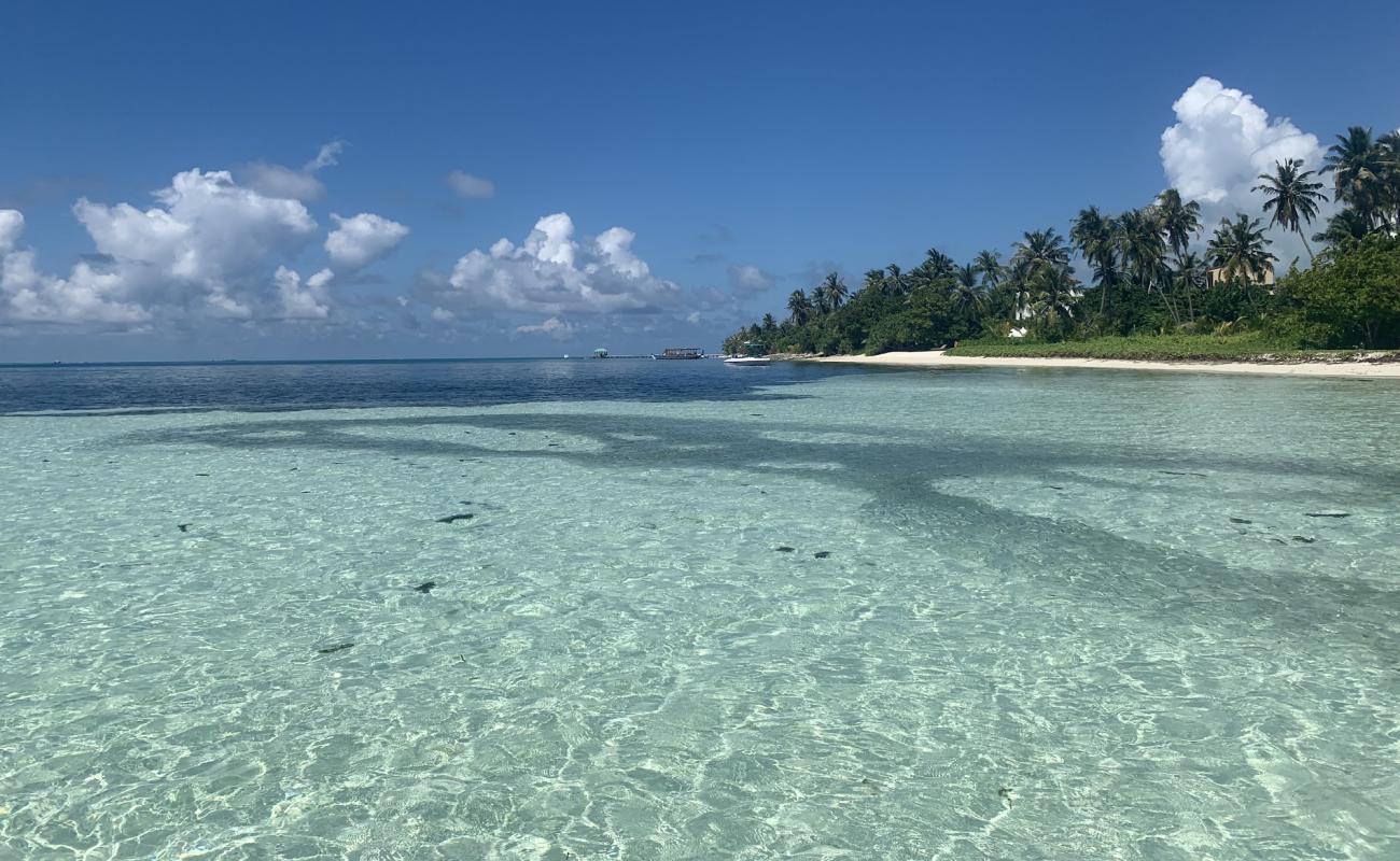 Фото Dhangethi Beach с белый песок поверхностью