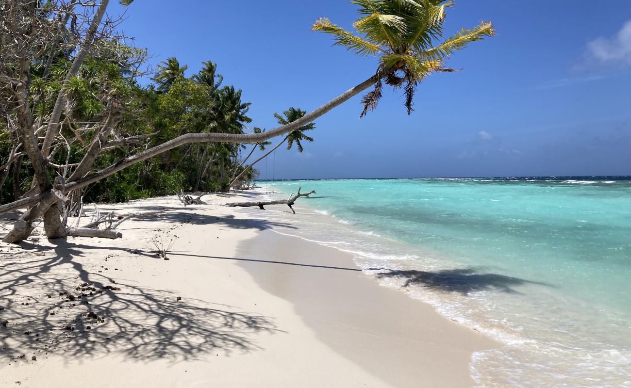 Фото Omadhoo Beach с белый песок поверхностью