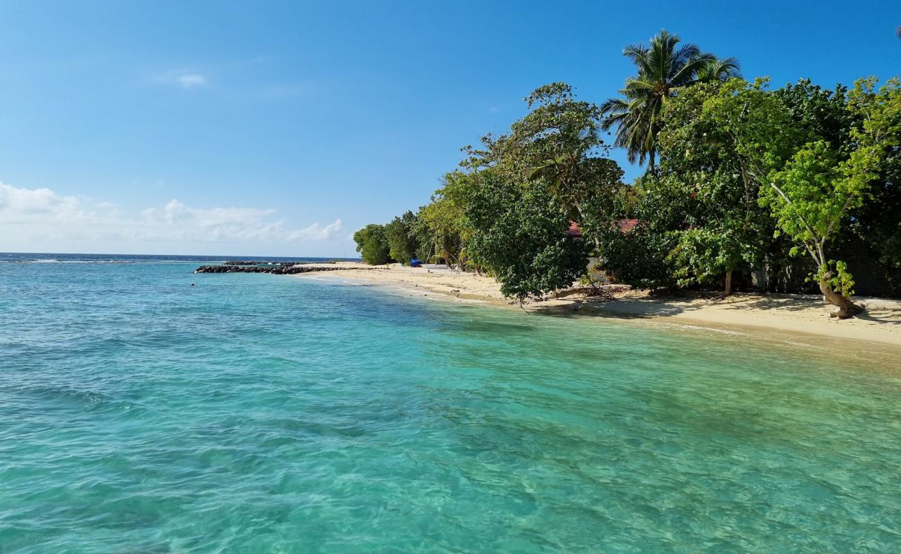 Фото Rashdoo Beach с светлый песок поверхностью