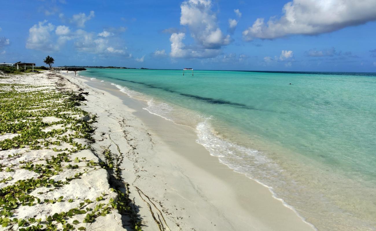 Фото Dream Beach Thulusdhoo с белый песок поверхностью