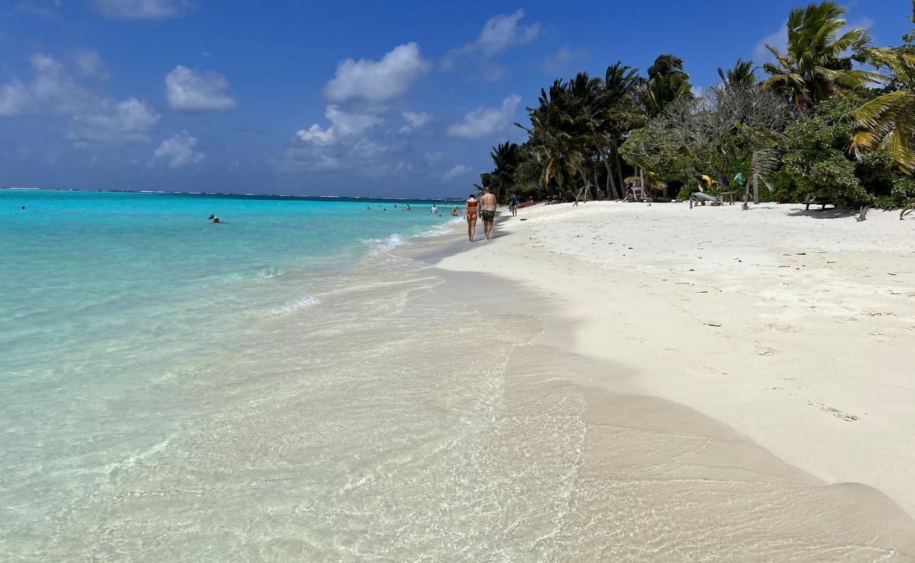 Фото Thoddu Beach с белый чистый песок поверхностью