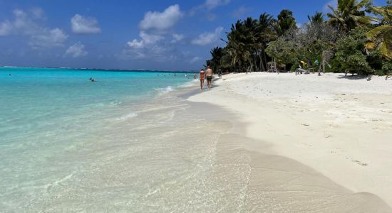 Thoddu Beach