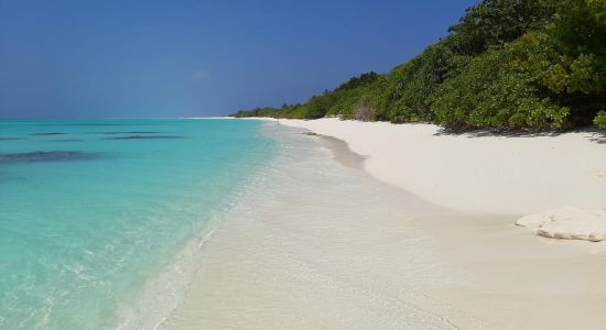 White Sandy Beach