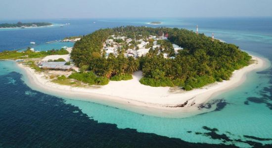 Bahamas Beach