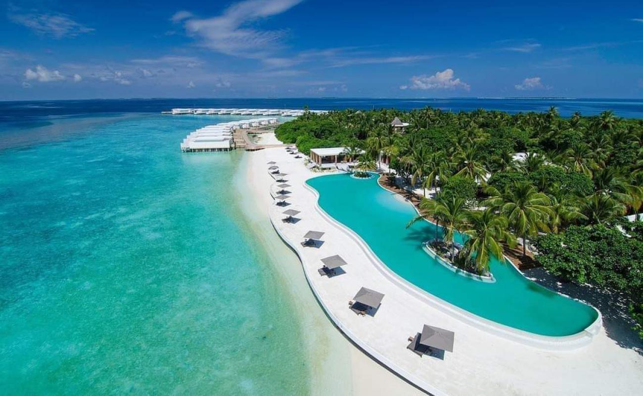 Фото Amilla Fushi Island Beach с белый чистый песок поверхностью