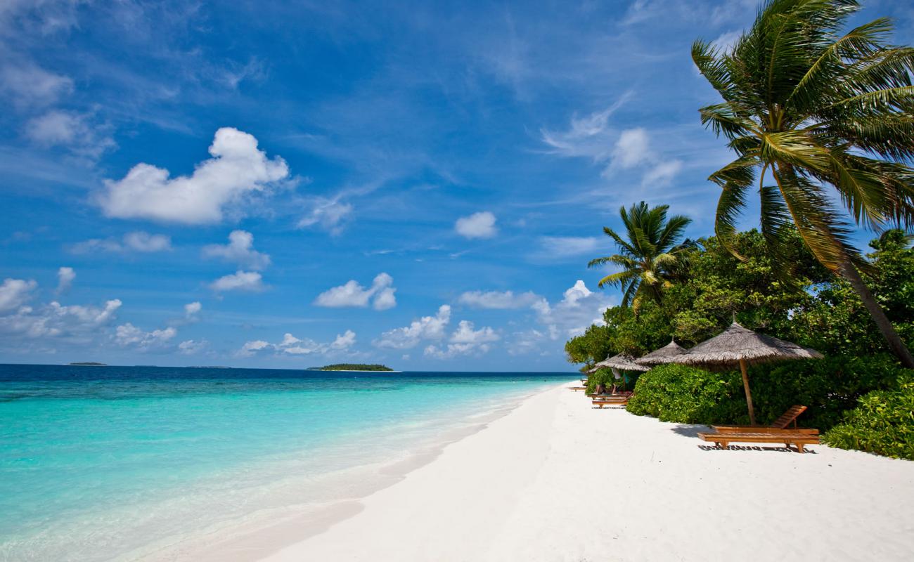 Фото Fonimagoodhoo Island Beach с белый чистый песок поверхностью