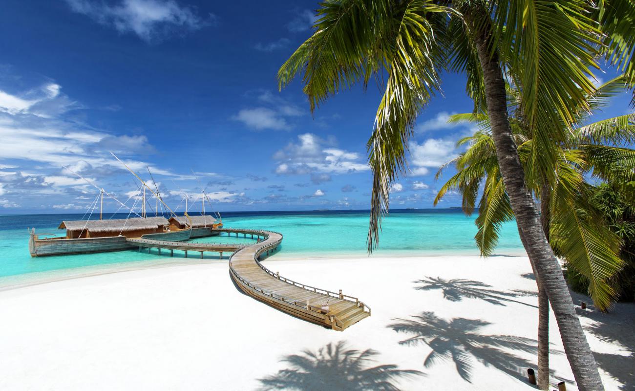 Фото Milaidhoo Island Beach с белый чистый песок поверхностью