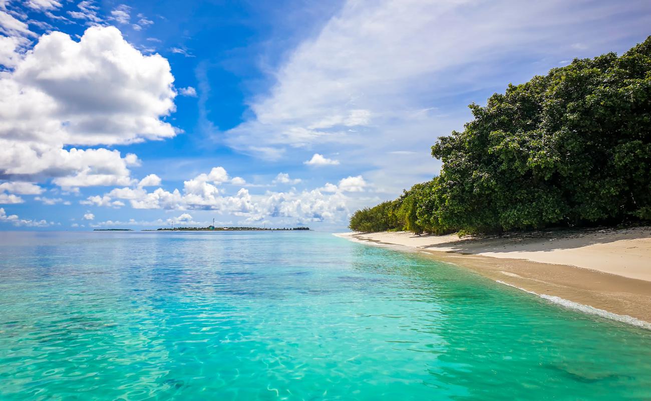 Фото Dhidhdhoo beach с белый песок поверхностью