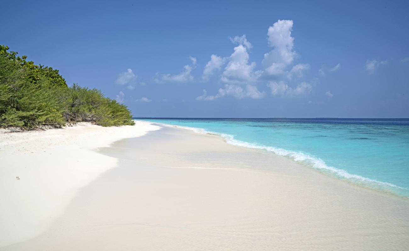 Фото Hulhumeedhoo Beach с белый песок поверхностью