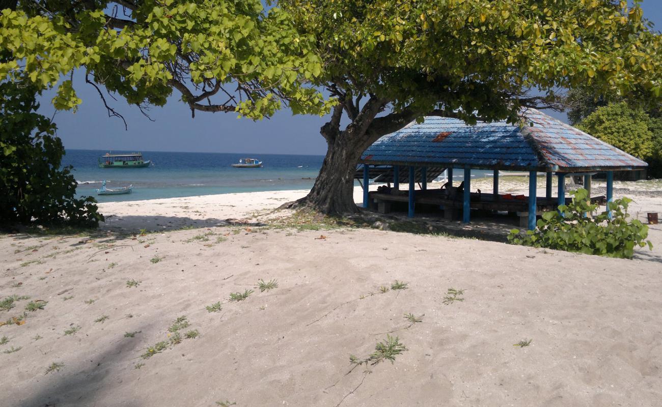 Фото Nellaidhoo Beach с светлый песок поверхностью