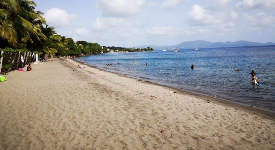 Plage de l'Anse Collat