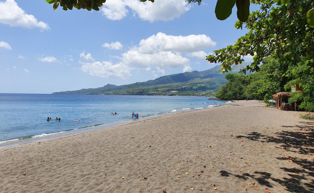 Фото Plage des Raisiniers с золотой ракушечник поверхностью