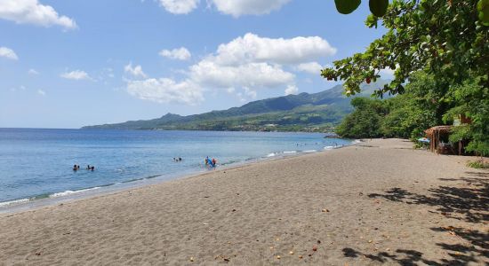 Plage des Raisiniers