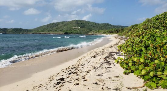 Plage de Cap Macre