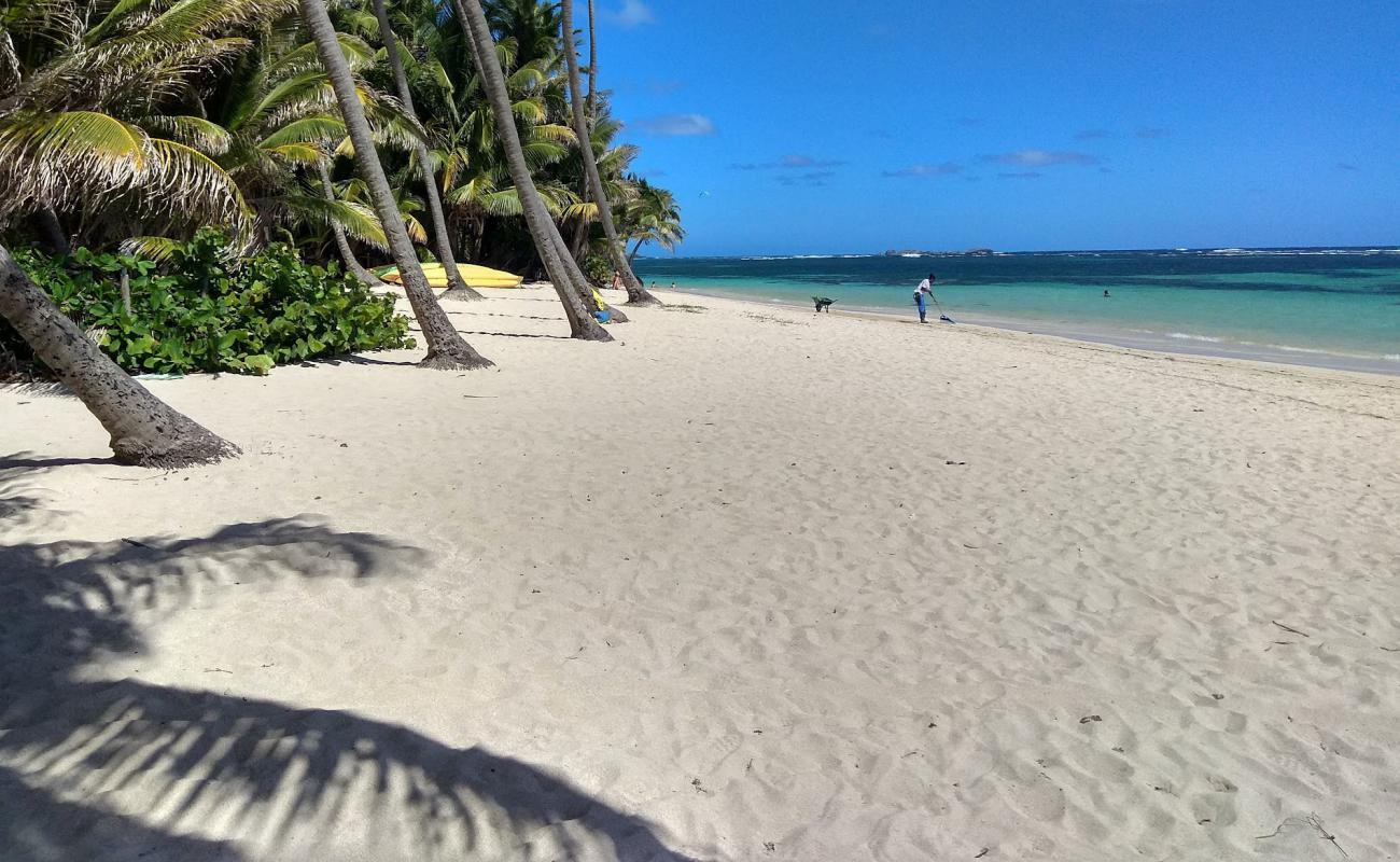 Фото Anse Michel beach с золотой ракушечник поверхностью