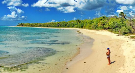 Grande terre beach