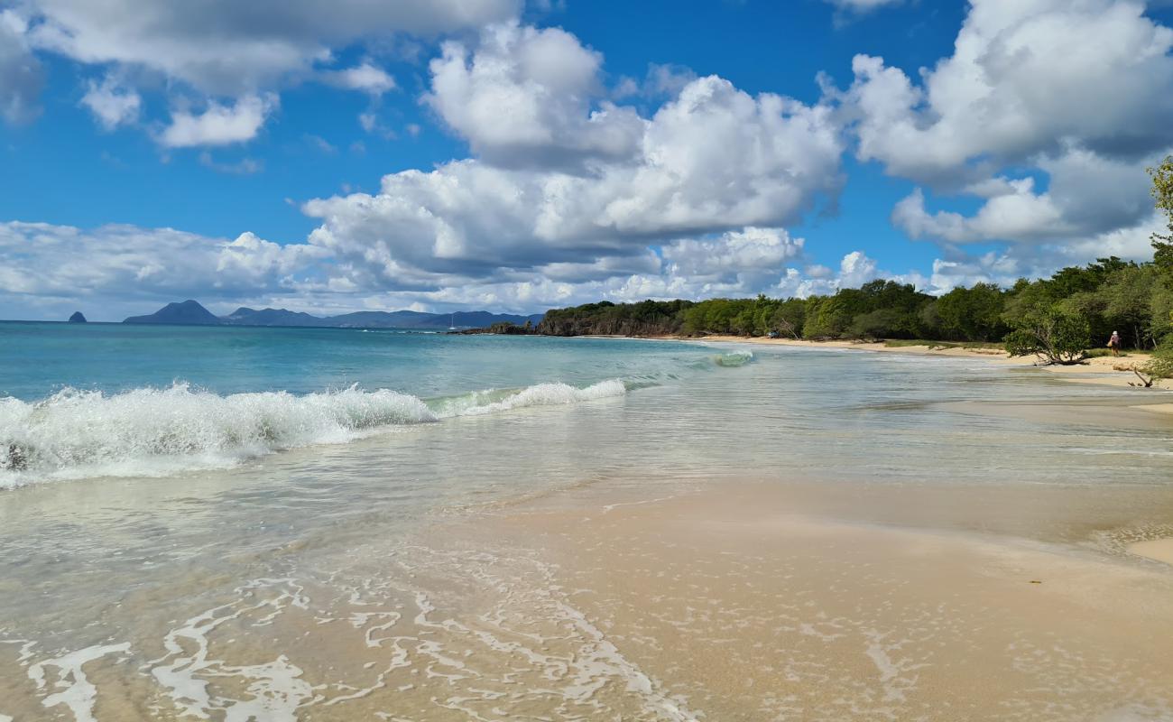 Фото Petite Anse des Salines с светлый песок поверхностью