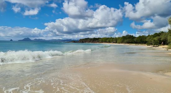 Petite Anse des Salines