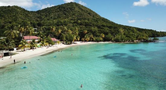 Anse Figuier beach