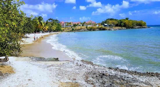 Plage de Pont Cafe