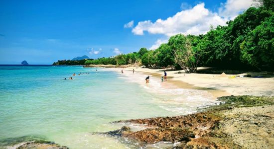 Plage de Sainte Luce